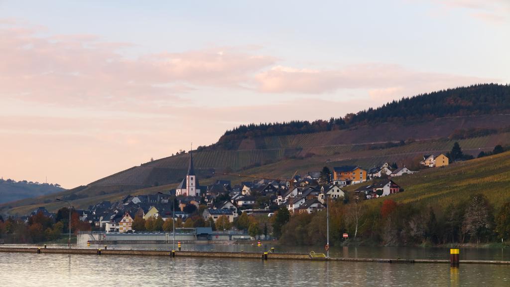 Ferienwohnung Am Edelberg Enkirch Zewnętrze zdjęcie